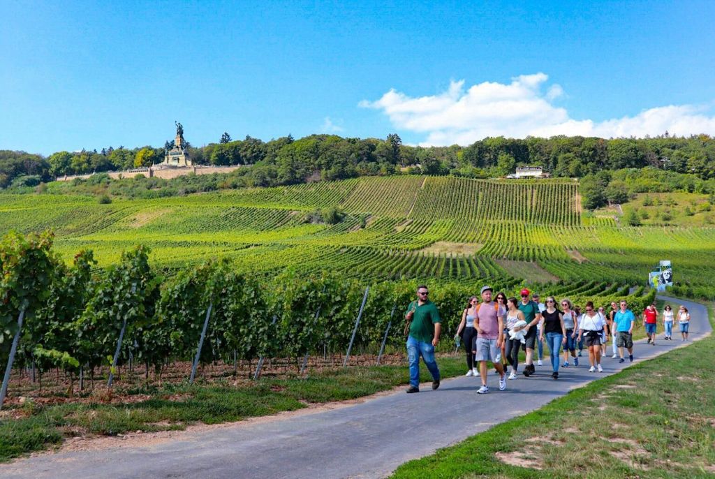 Rüdesheim - Geführte Weinwanderungen mit 4Weinen und Seilbahnfahrt