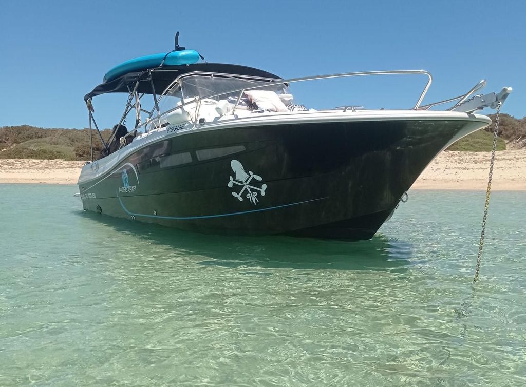 Ibiza: Kurztour „Norden der Insel“ vom Meer aus mit einem Privatboot