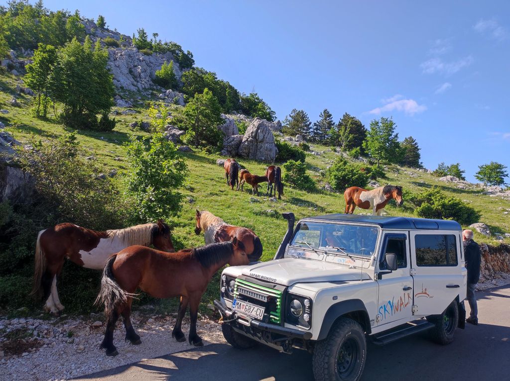 Makarska: Skywalk (1228 m) und St. Georg (1762 m) Tour