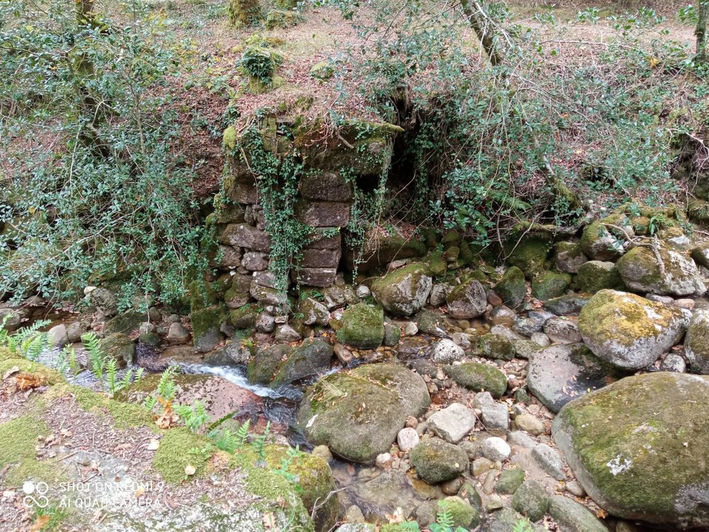 Gerês: Entdecke die römische Via XXVII und die Natur an einem Tag