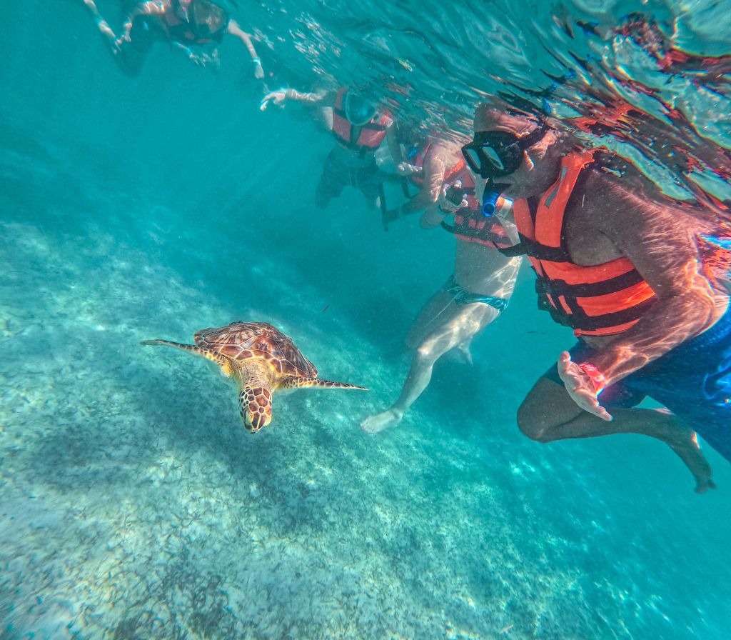 Cancún: Tulum-Ruinen, Akumal-Schildkröten, Cenote & Höhlen-Tour