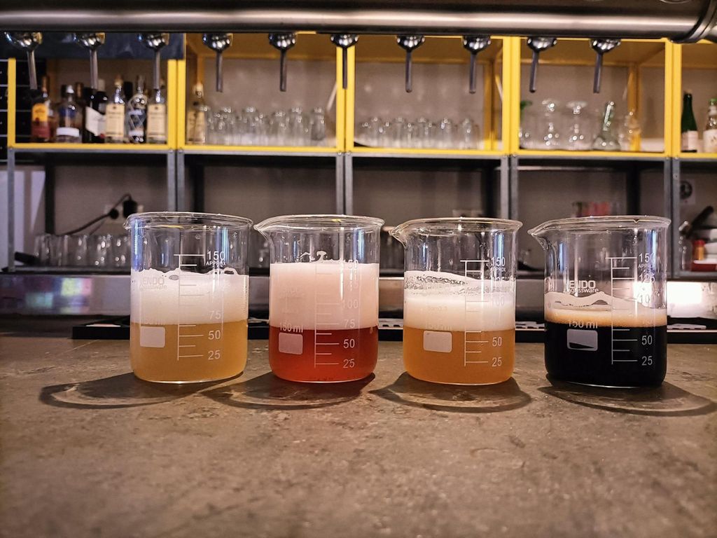 Craft-Bierverkostung und Tapas in Valencia