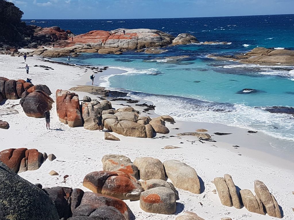 Hobart: 4-tägige Tour durch das wilde Tasmanien