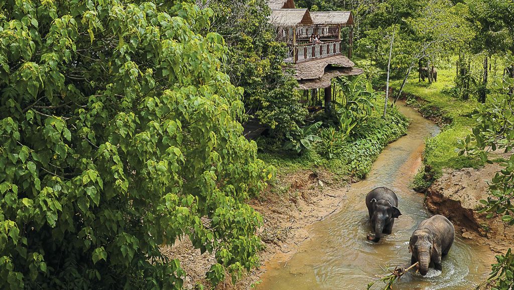 Phuket: Elefanten-Schutzgebiet Canopy Walkway Tour
