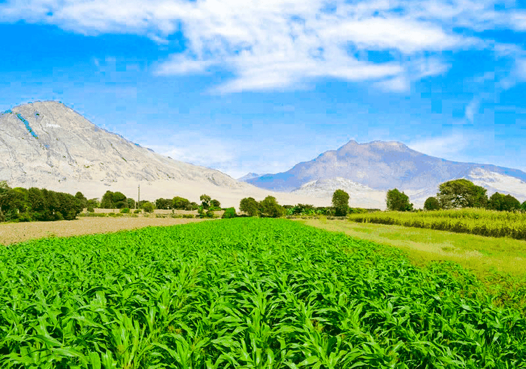 Ab Trujillo: Ganztagestour mit Museen