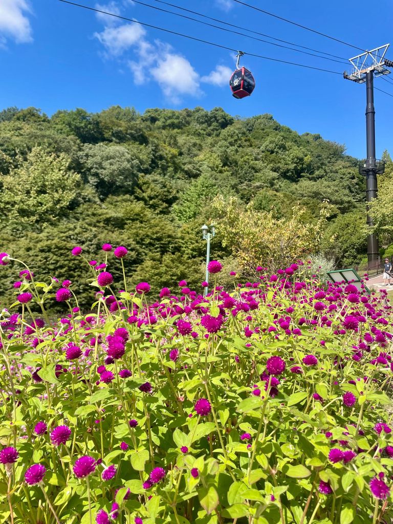1-tägige Wandertour durch Kobe: Berge, Meer und Sake