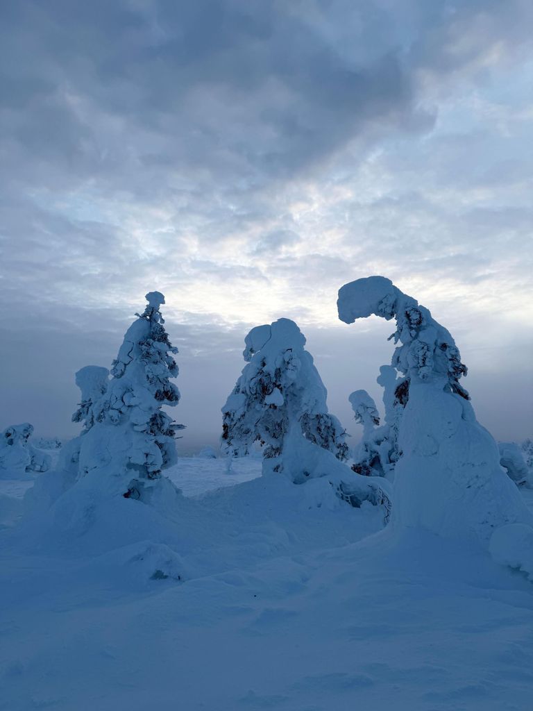Rovaniemi: Tour im Riisitunturi-Nationalpark mit Fotos & Barbecue