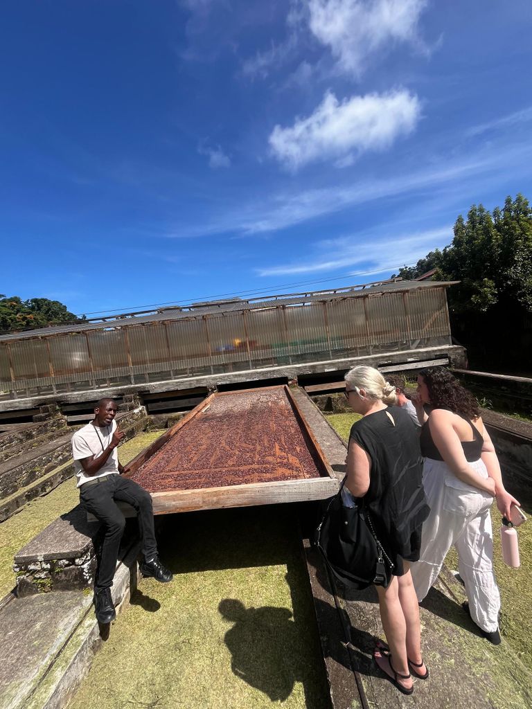 Grenada: Insel-Vibes auf der Gewürzinsel