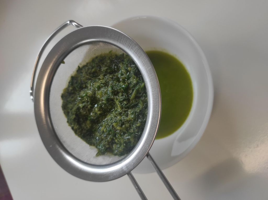 Privater Kombucha-Workshop auf Zypern