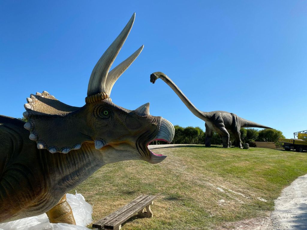 Royan: Planet Exotica Entry Ticket