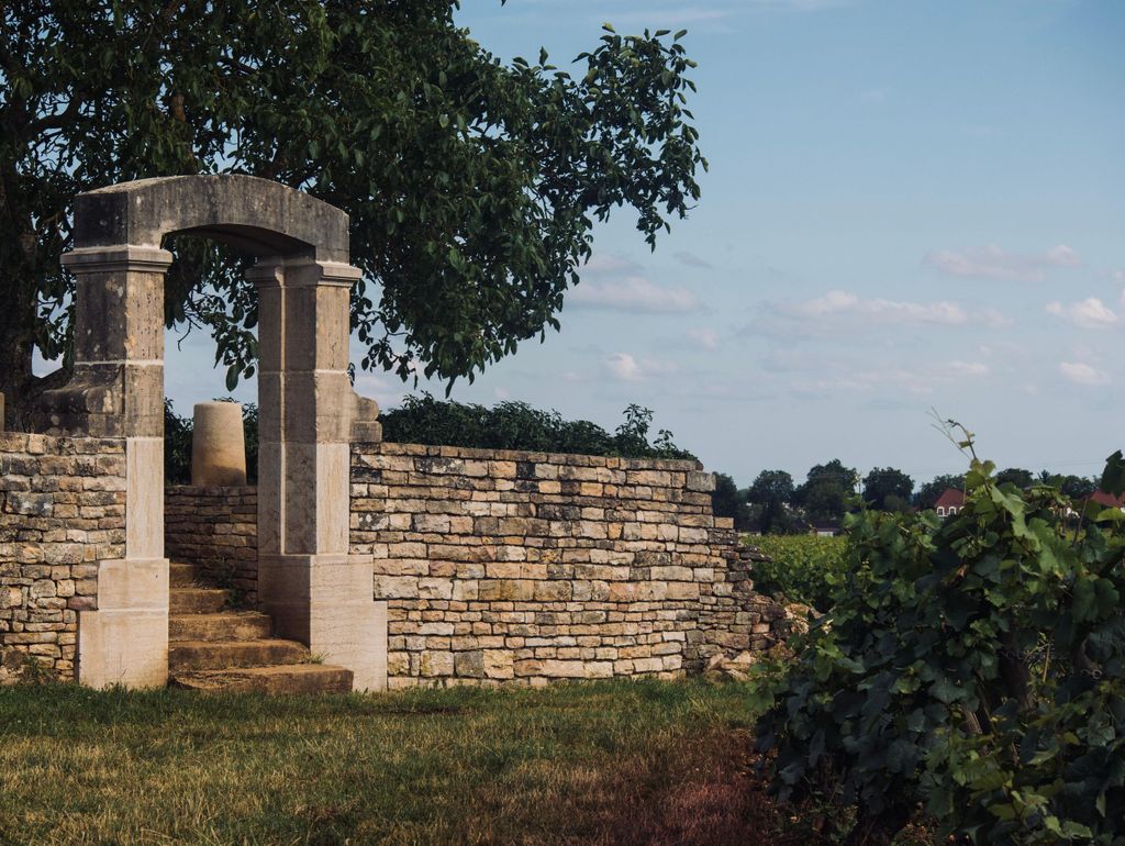 Côte de Nuits: Ausflug mitten in die Weinberge