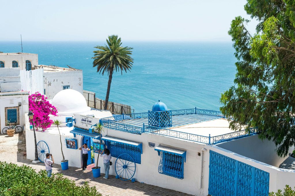 Private Tour: Medina, Karthago, Sidi Bou Saïd & Bardo + Mittagessen