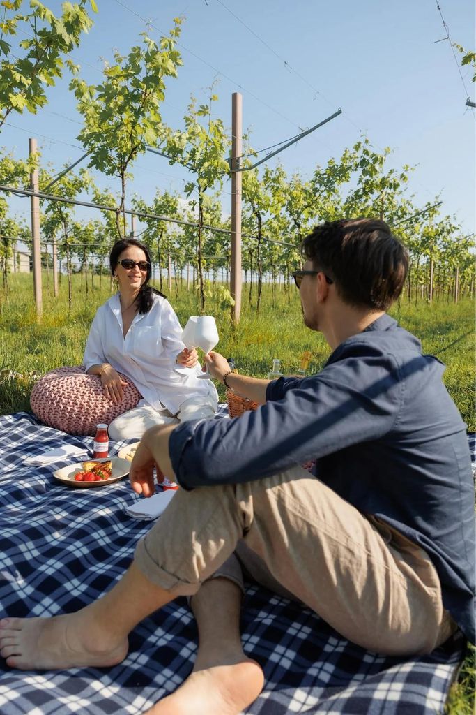 Lazise: Picknick im Weinberg mit Wein und Snacks