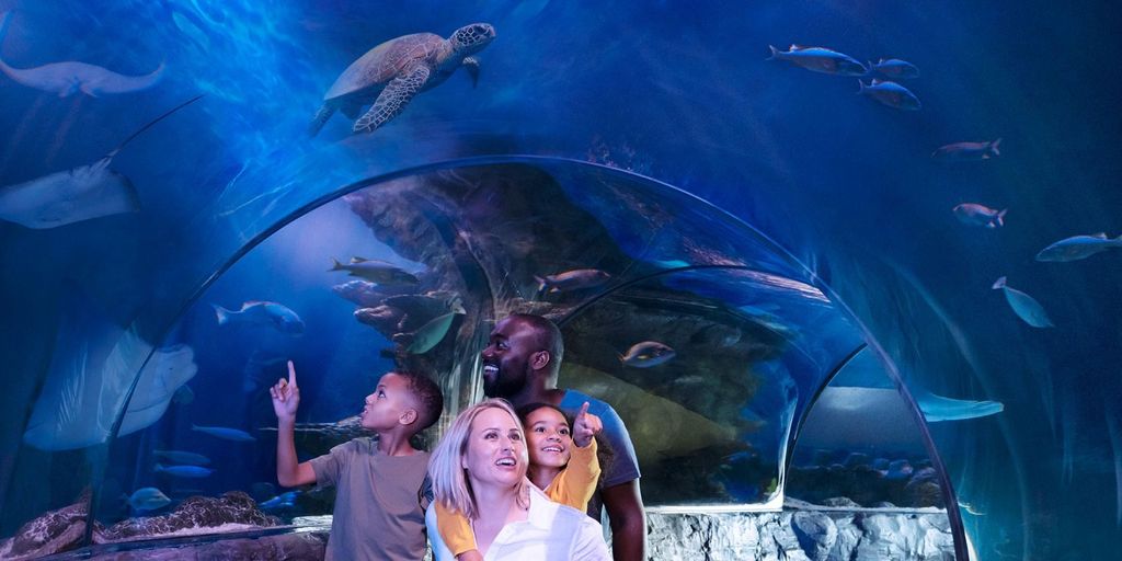 Kansas City: SEA LIFE Kansas City Aquarium Allgemeiner Eintritt