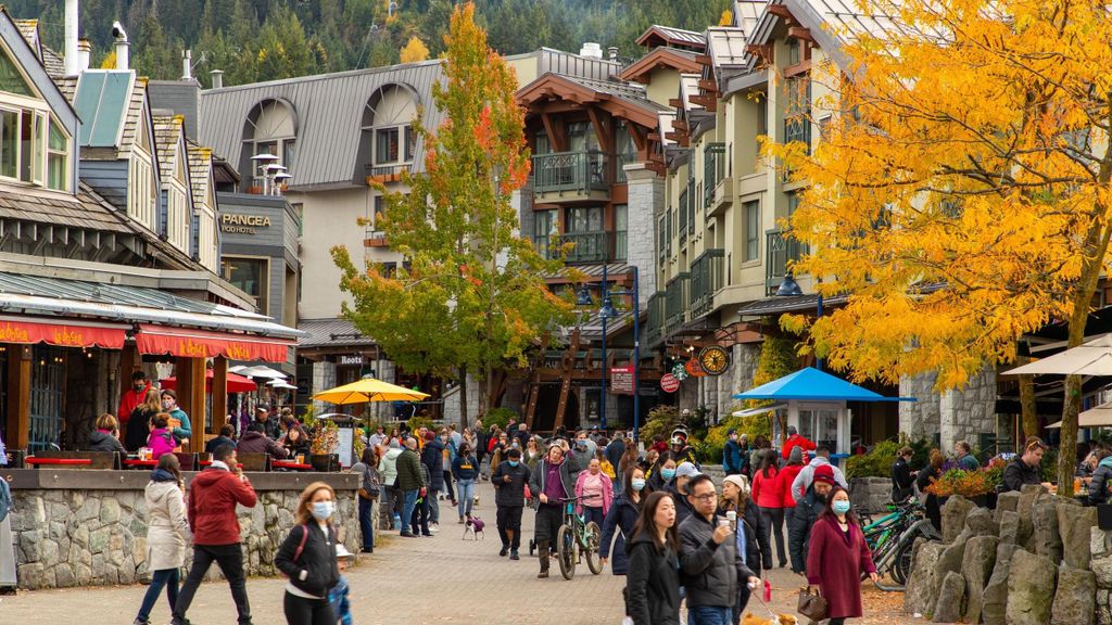 Vancouver: Privater Transfer nach Whistler mit Zwischenstopps