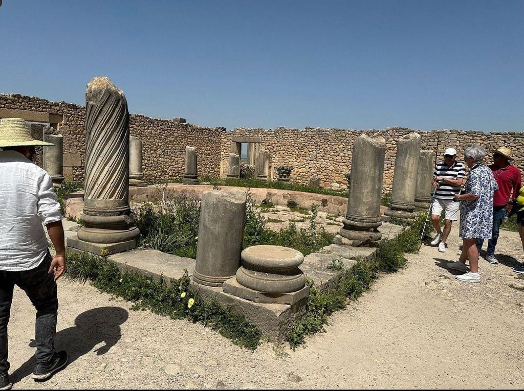 Private Tagestour nach Volubilis, Moulay Idriss und Meknes