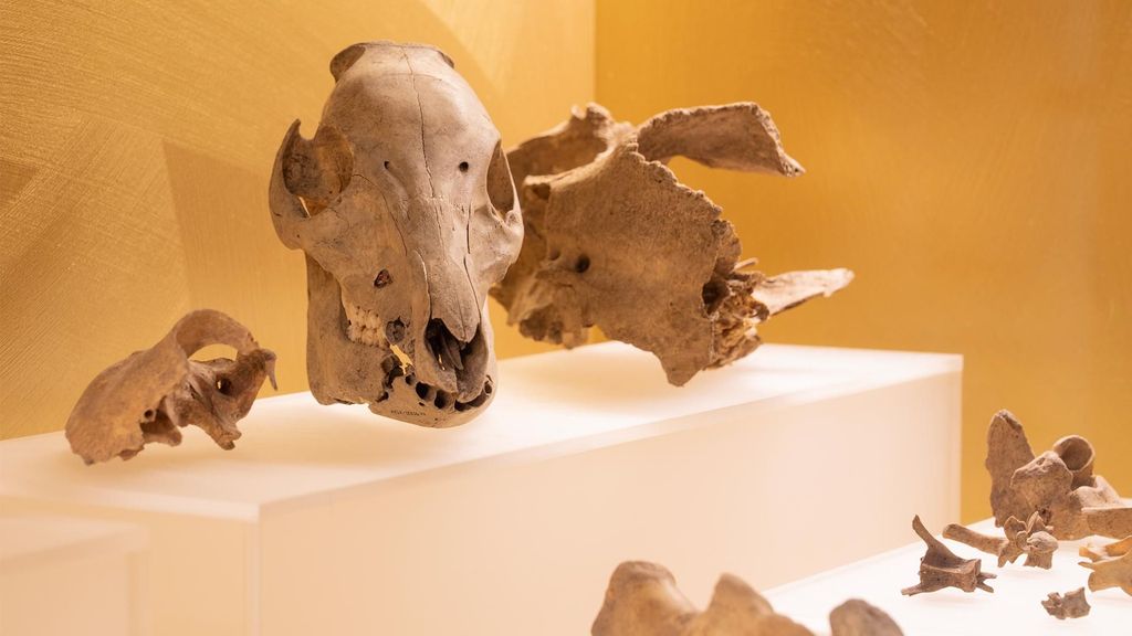 Turku: Eintrittskarte fürs Aboa Vetus Ars Nova Museum