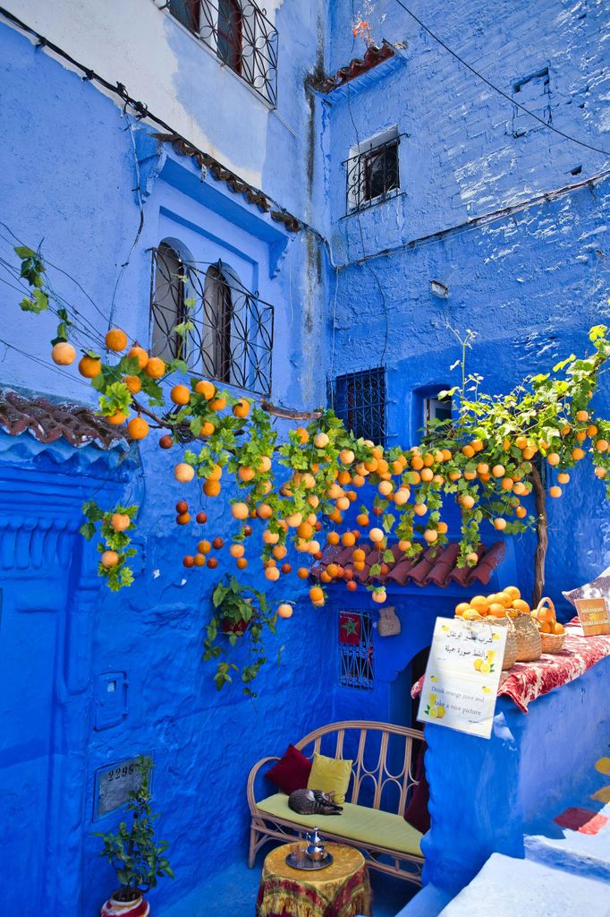 Von Fes nach Tanger in 2 Tagen über Chefchaouen (nur Transport)