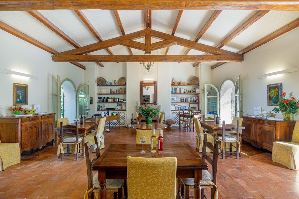 Alghero: Wein- und Olivenölverkostung auf einem lokalen Bauernhof