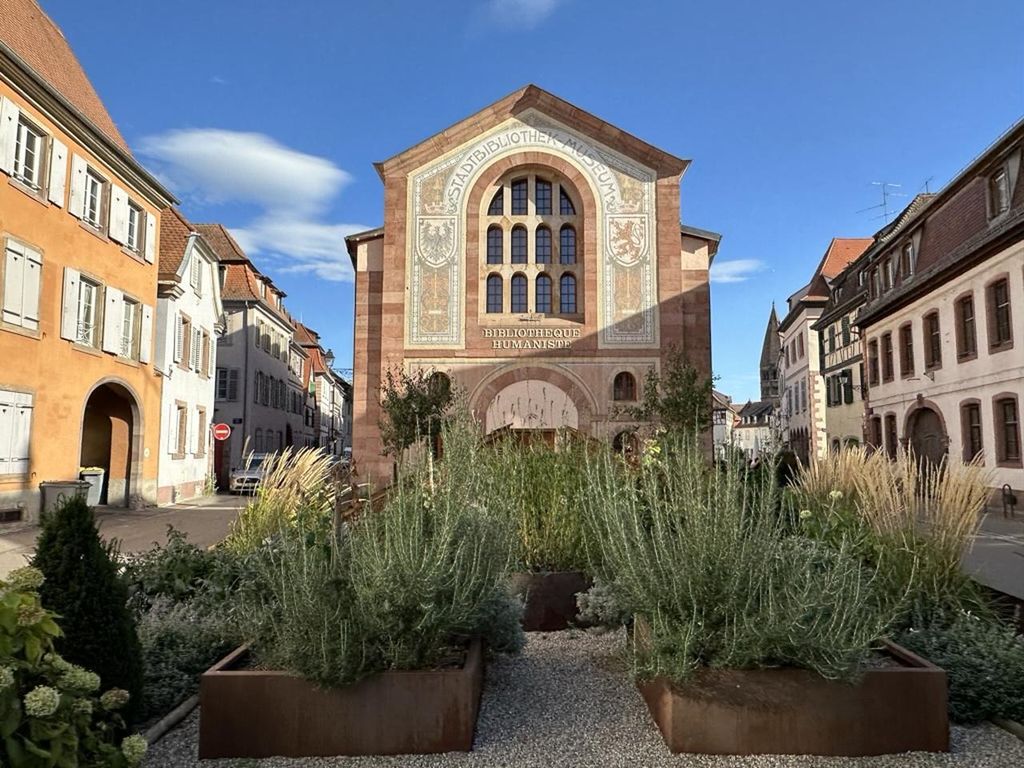 Sélestat: Stadtrundgang durch die Stadt des Riesen Sletto