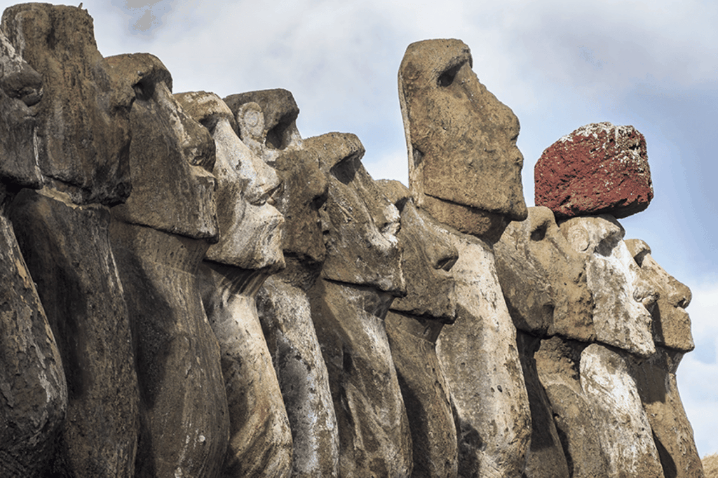 2 halbe Tage & 2 ganze Tage private Touren | OPTION B