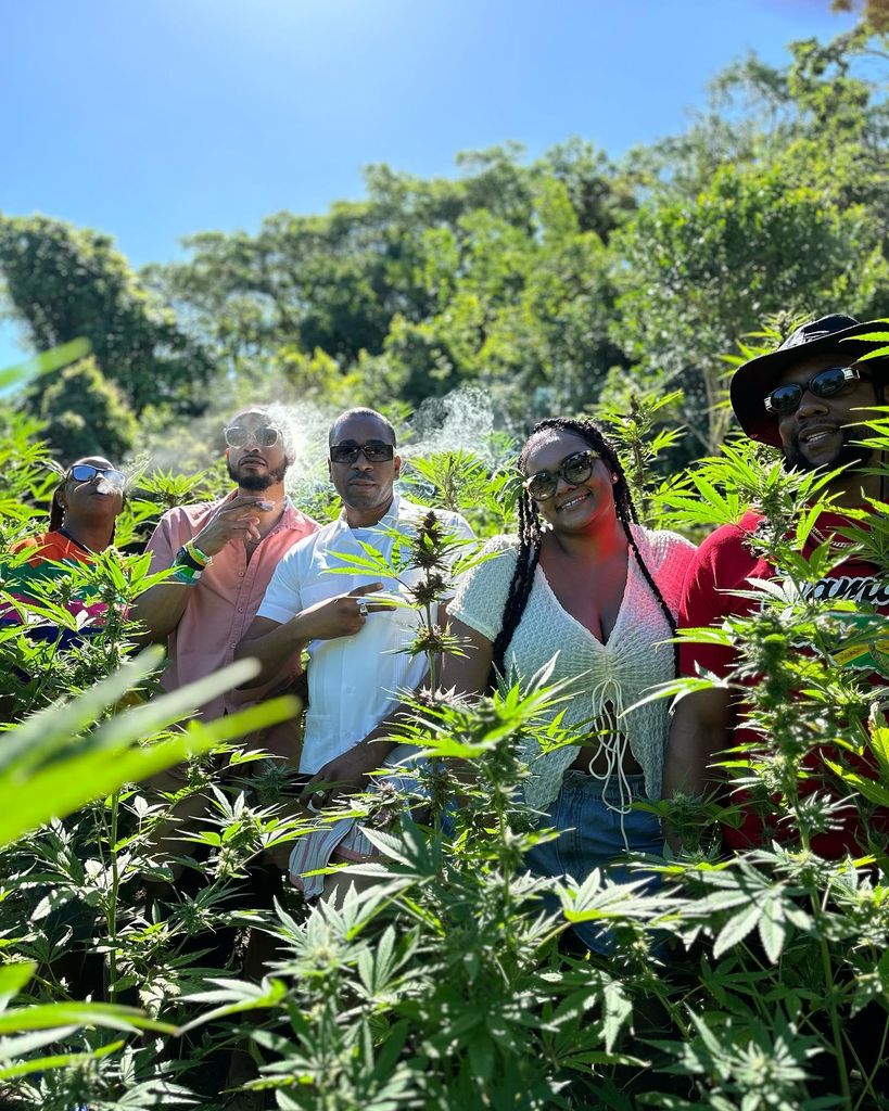 Montego Bay: Marihuana Farm Private Tour mit Transport