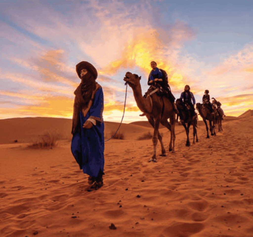 Tozeur : Kamelritt in der Oase Tozeur. 2 Stunden