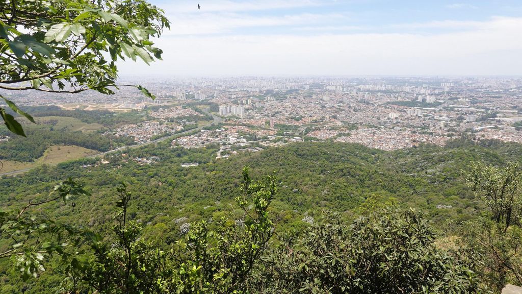 São Paulo: Pico Jaraguá – Spaziergang durch den Regenwald, privat