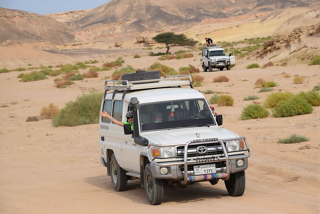 Marsa Alam: Jeep-Tour zum Nationalpark Wadi al-Gimal-Hamata mit Abendessen