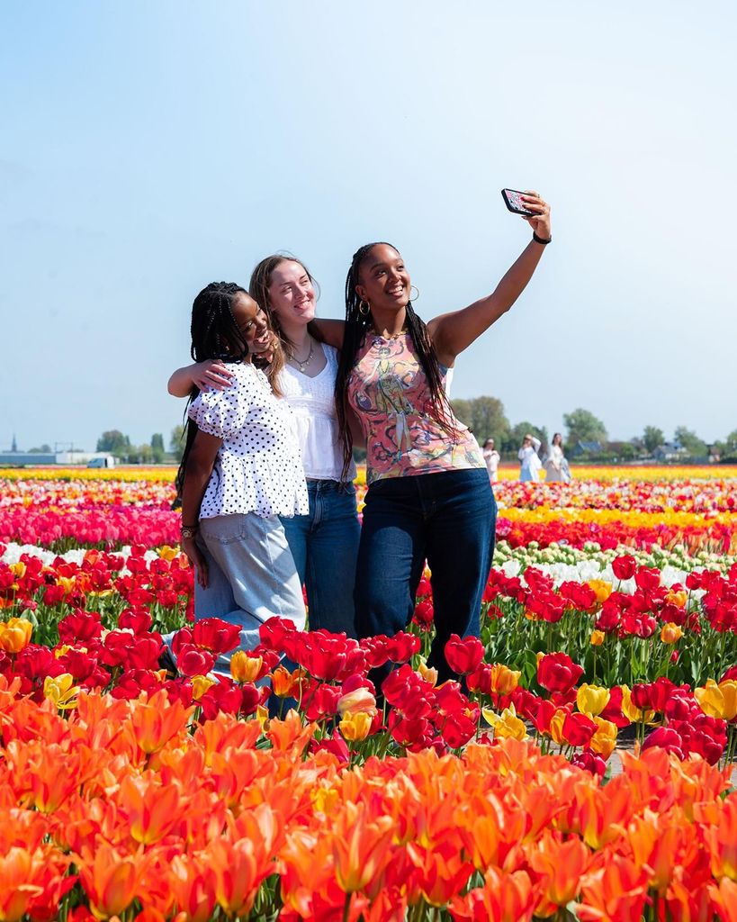 Lisse: Tulip Experience Ticket mit Tulpengarten und Museum