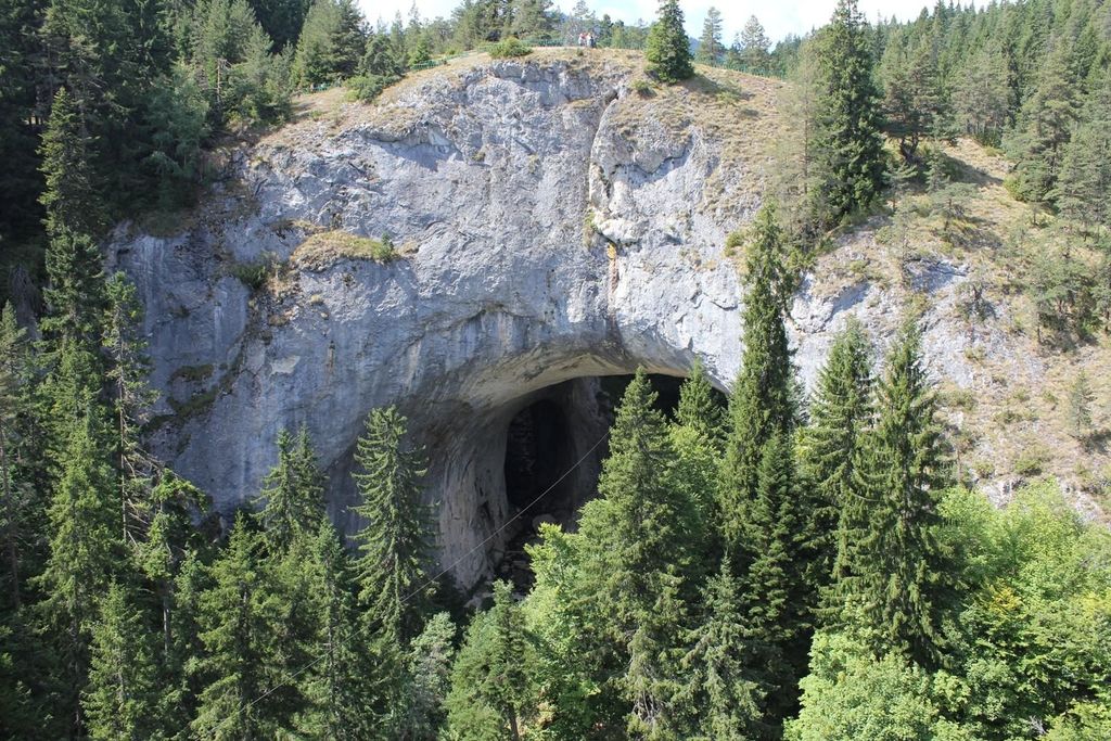 Plovdiv: Bachkovo-Kloster, Asen-Festung und Brücken-Tour