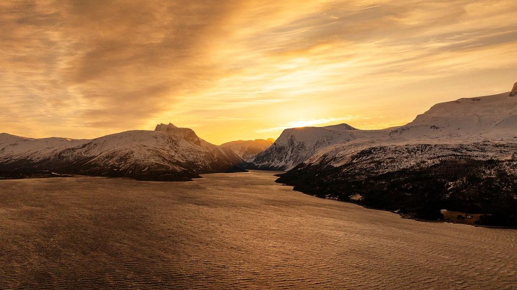 Narvik: Geführter Roadtrip zu Fjorden und Nordlichtern