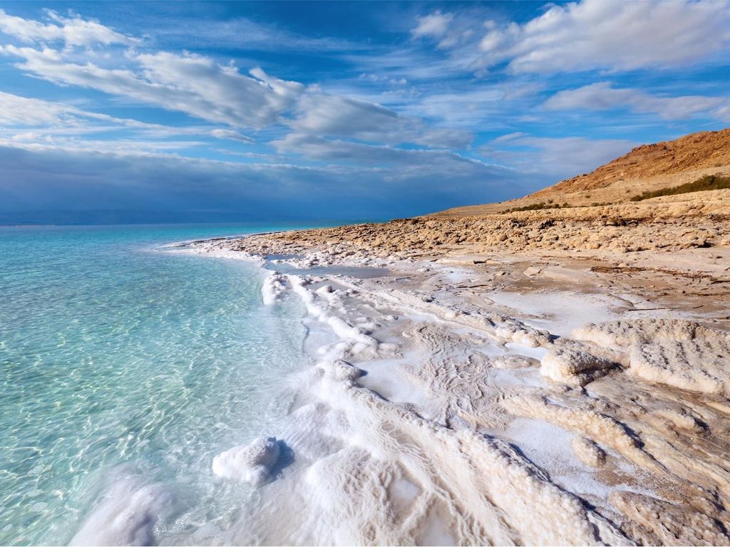 Von Amman: Tagestour zum 5-Sterne-Resort am Toten Meer mit Mittagessen