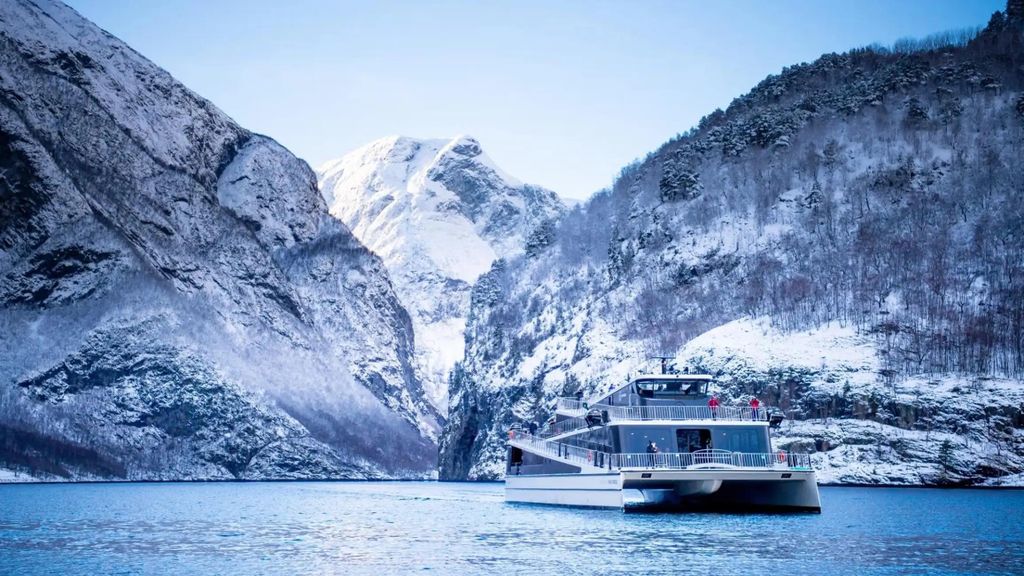 Winterliche Tagestour in Bergen: Nærøyfjord, Flåm und Stegastein