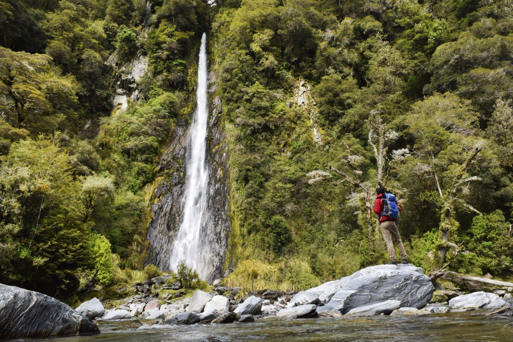 Franz Josef: nach Wanaka Kleingruppentour (einfach) mit Mittagessen