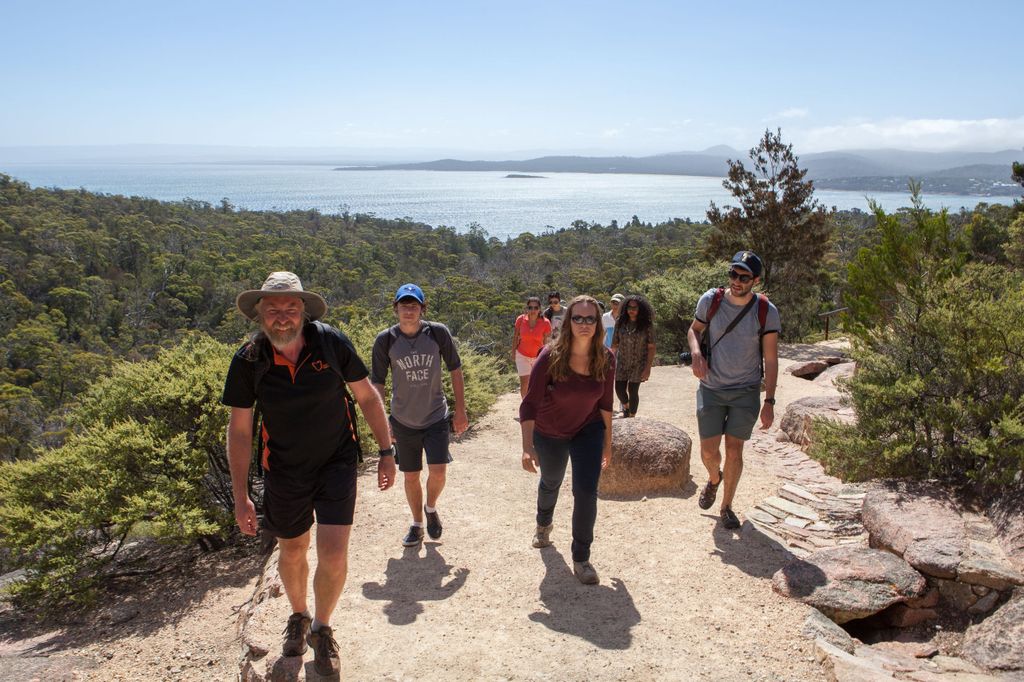 Von Launceston: Ganztägige Wineglass Bay Explorer Active Tour