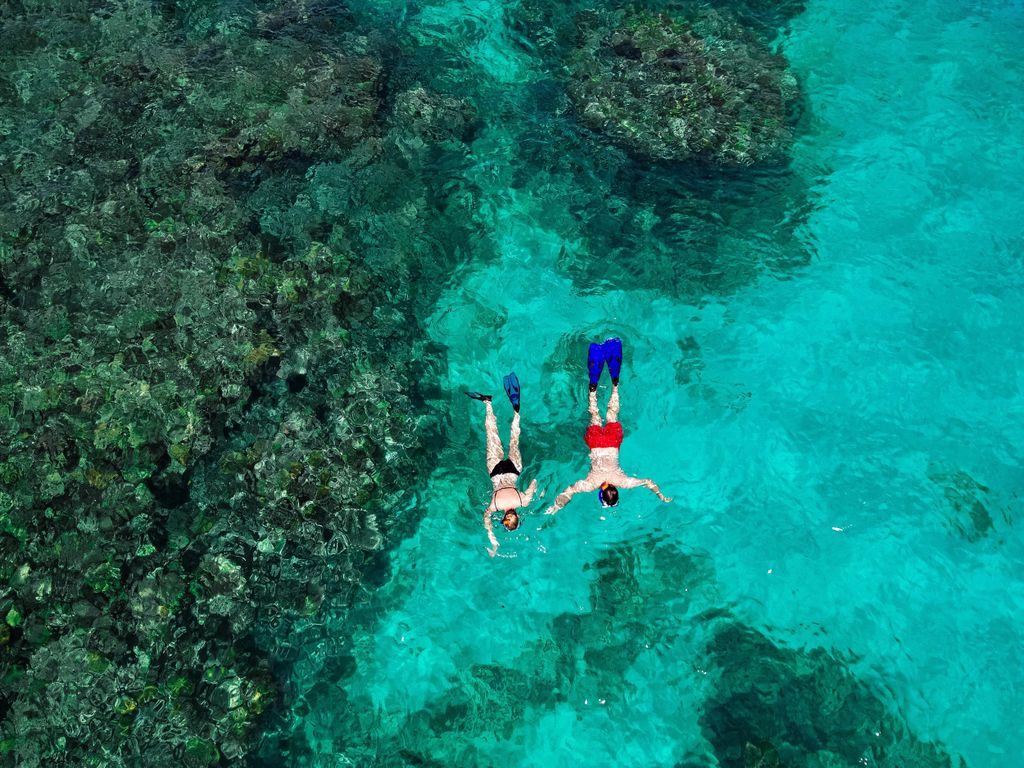 Praslin: Ganztägige Bootsfahrt nach Curieuse und St. Pierre mit Mittagessen