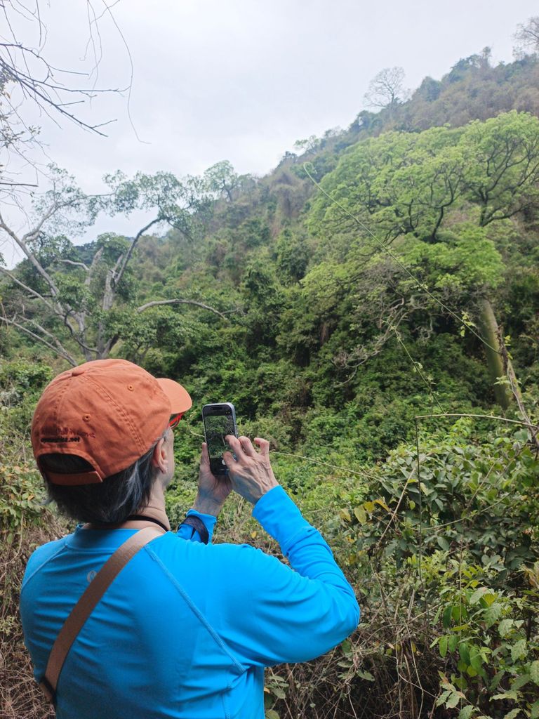 Privater Spaziergang durch den Trockenwald & Städtetour durch Guayaquil
