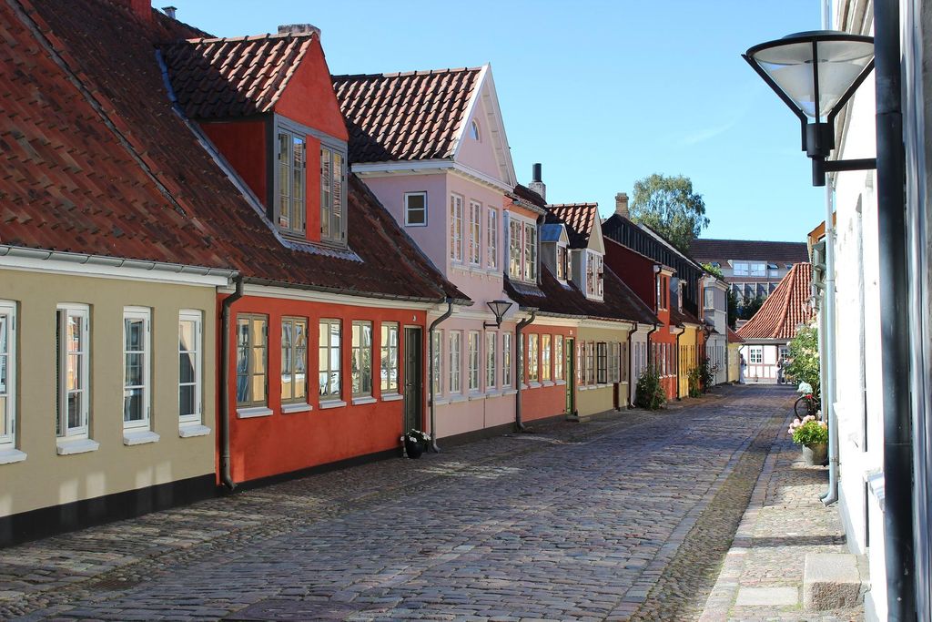 Odense Private geführte Rundgangstour