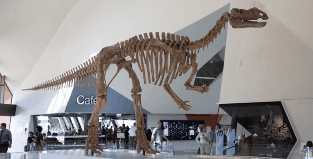 Private Tour: Ganztagestour von Sydney nach Canberra