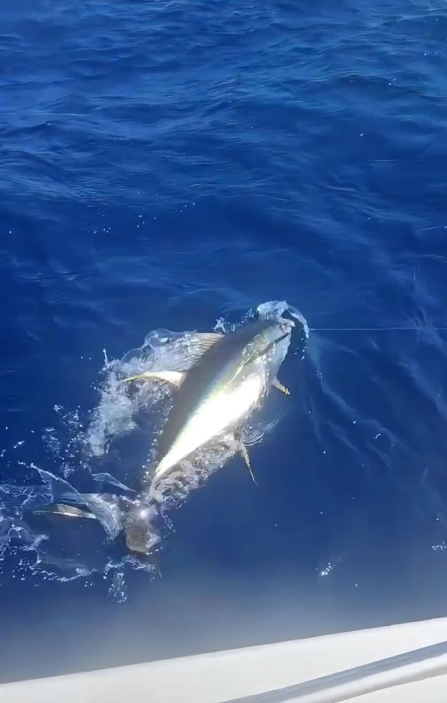 Traditioneller Angelausflug auf dem Meer mit K’PTAIN ARIEL – Martinique