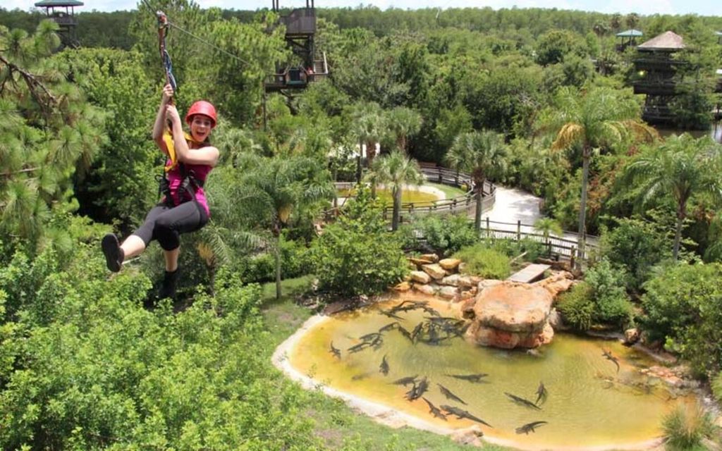 Orlando: Gatorland Zipline Abenteuer mit ganztägigem Parkzugang