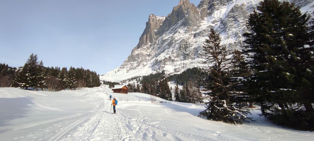 Mürren & Grindelwald: Schneeschuh-Tour mit Raclette-Picknick