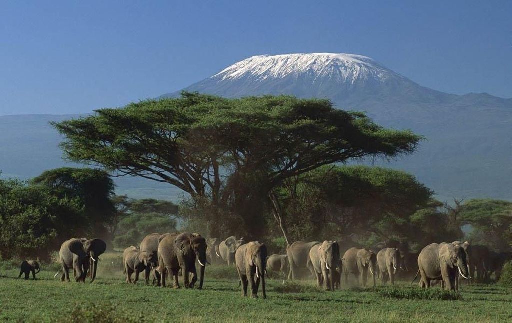 3 Tage Tsavo Ost und Amboseli-Safari ab Diani/Mombasa
