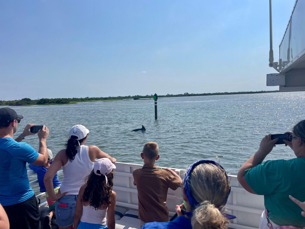 St. Augustine: Von Experten geführte Öko-Abenteuer mit Delfinen und Wildtieren