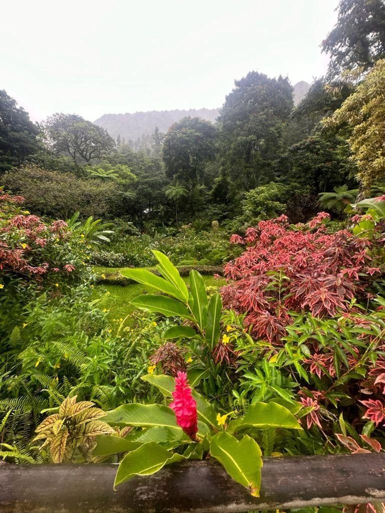 St. Vincent: Montrealer Gärten, Botanische Gärten & Fort Tour