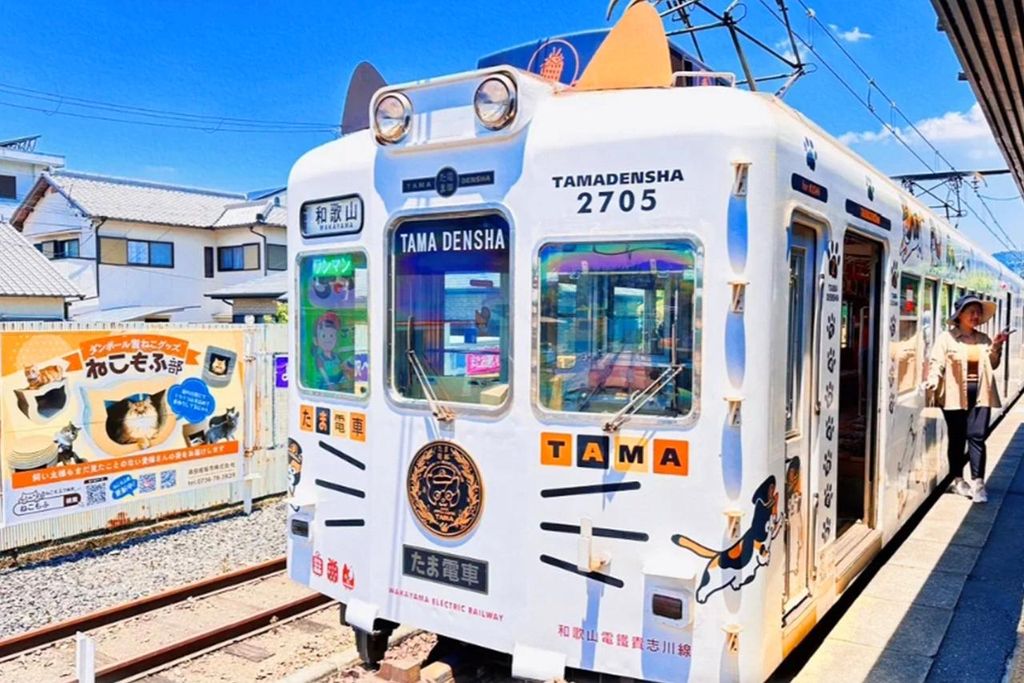 Osaka: Wakayama-Katzenzug, Fischmarkt, Tour zu heißen Quellen