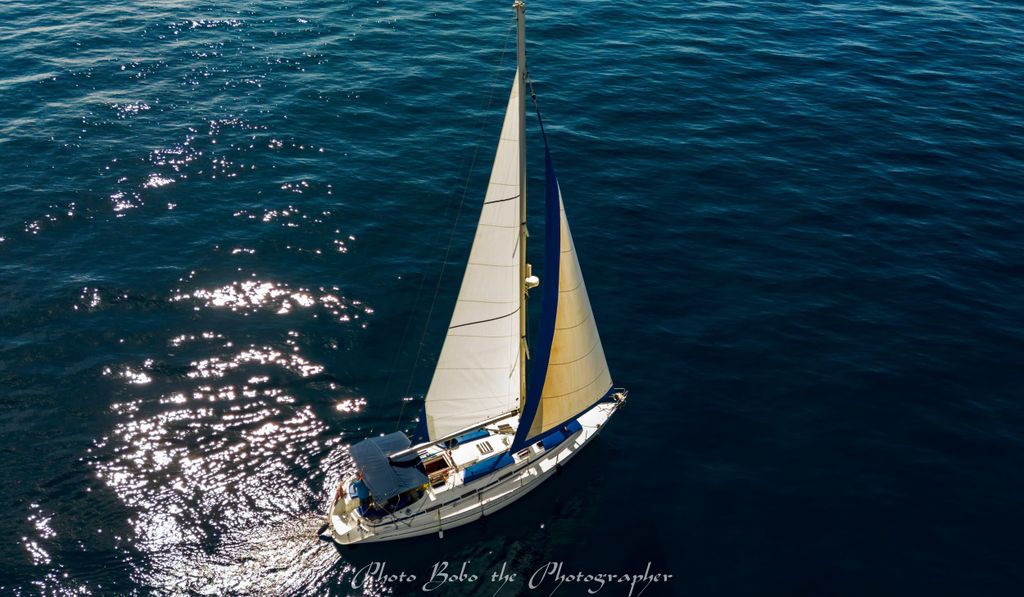 3-stündige private Walbeobachtungstour mit dem Segelboot in Puerto Colon-Teneriffa Süd