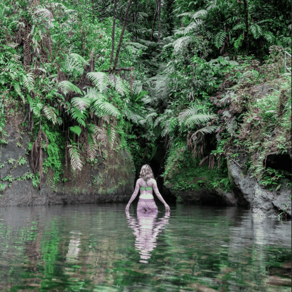 Dominica Wasserfälle und Schnorcheln