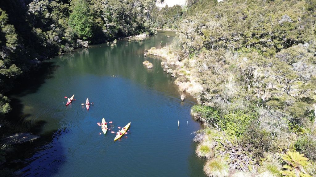 Taupō: Kajaktour auf verstecktem See mit Blick auf versunkenen Wald